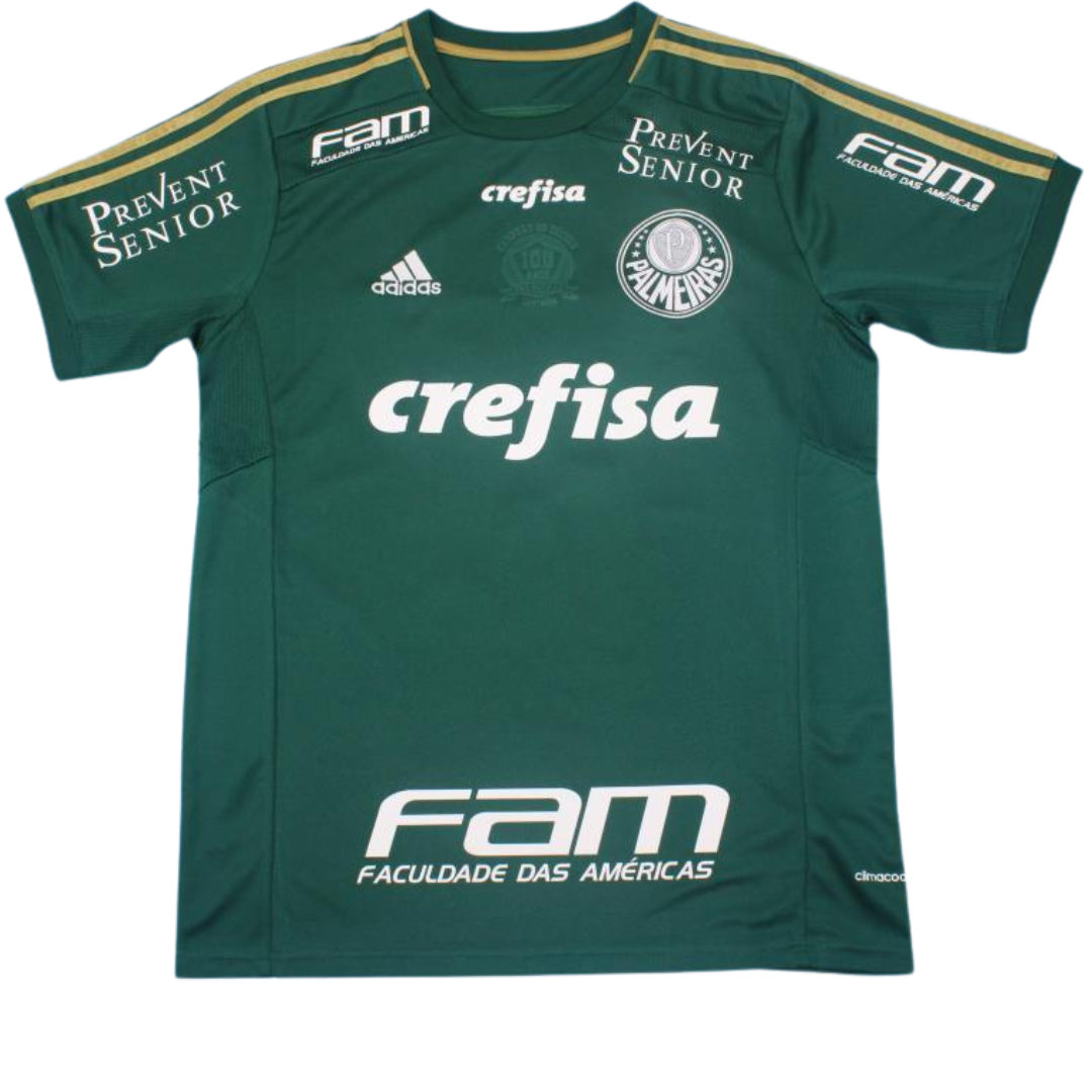 Camisa Palmeiras Home 2014 - Versão Retrô "Valdivia" Nº 10 - Imagem 2