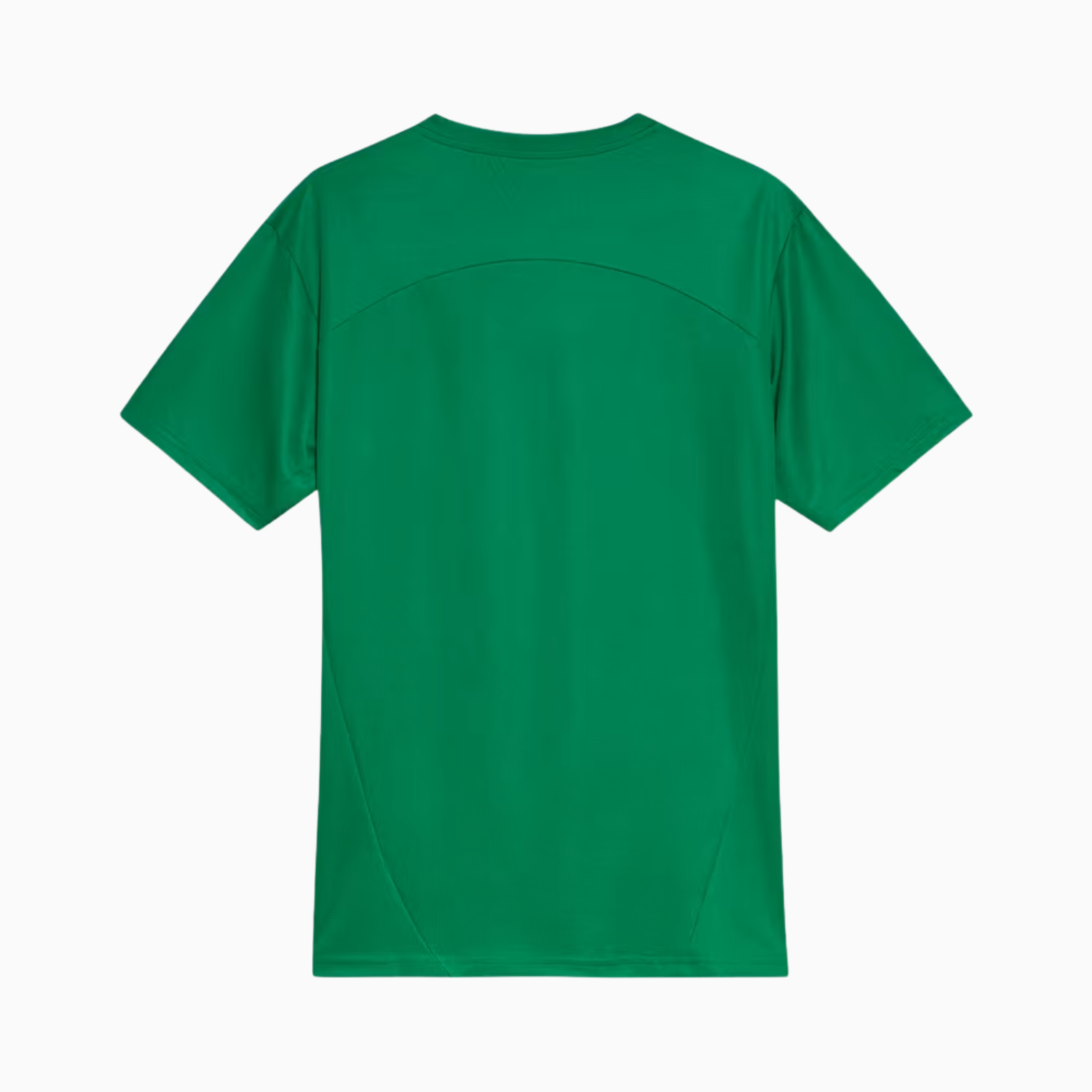 Camisa Palmeiras 2025 – Treino - Imagem 2