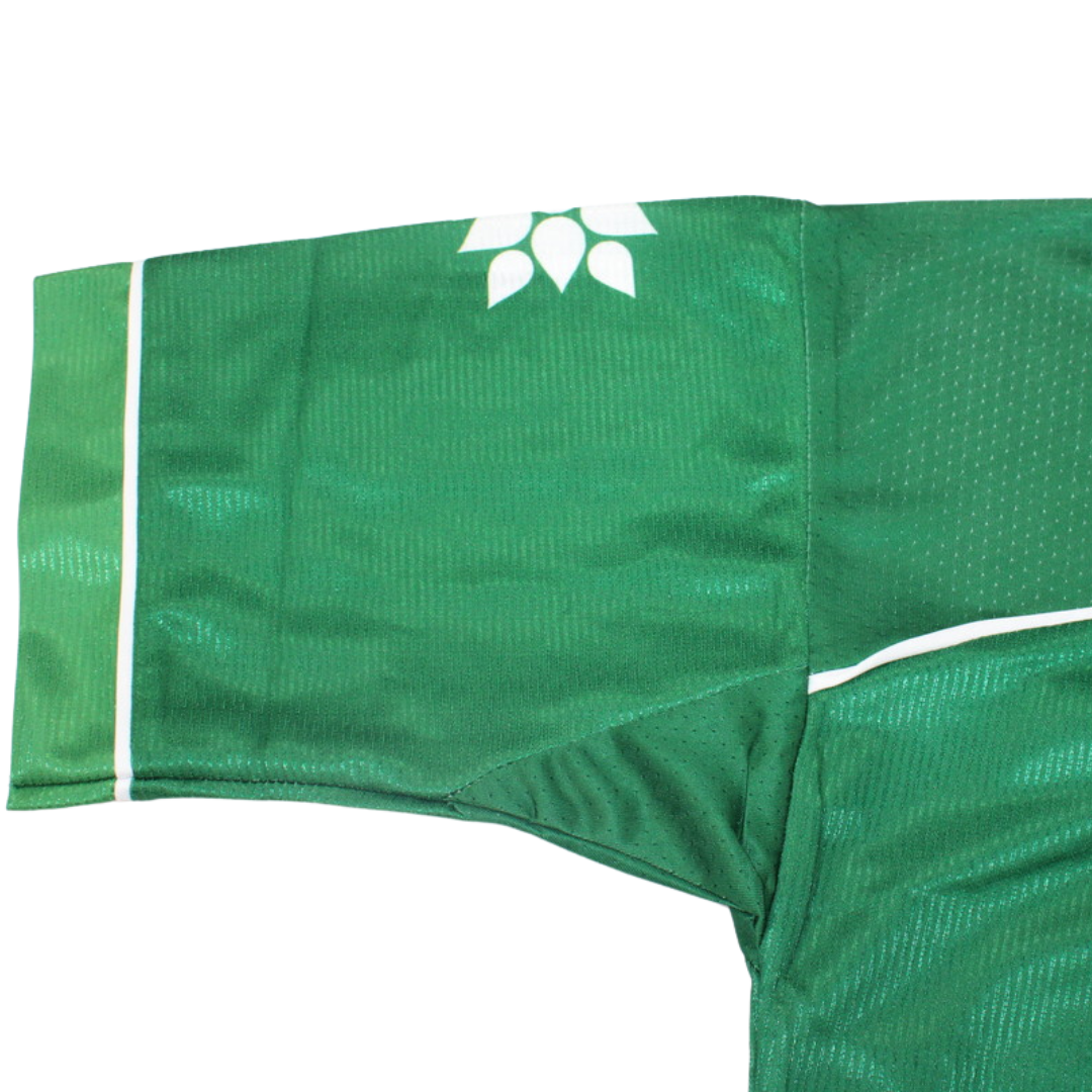 Camisa Palmeiras Aniversario - Versão Retrô "Chiqui Arce" Nº 2 - Imagem 4
