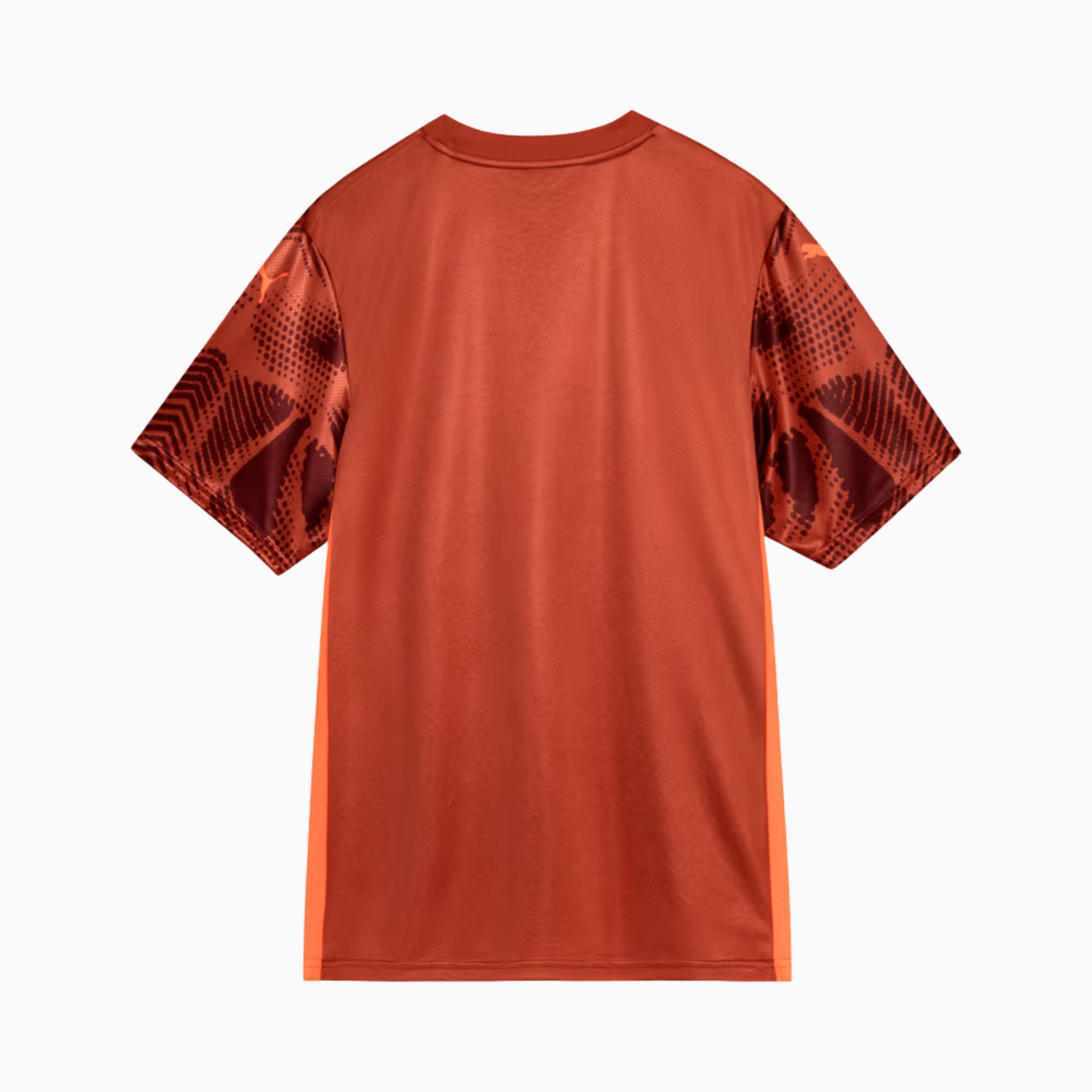 Camisa Goleiro Palmeiras 2025/26 II – Torcedor - Imagem 2