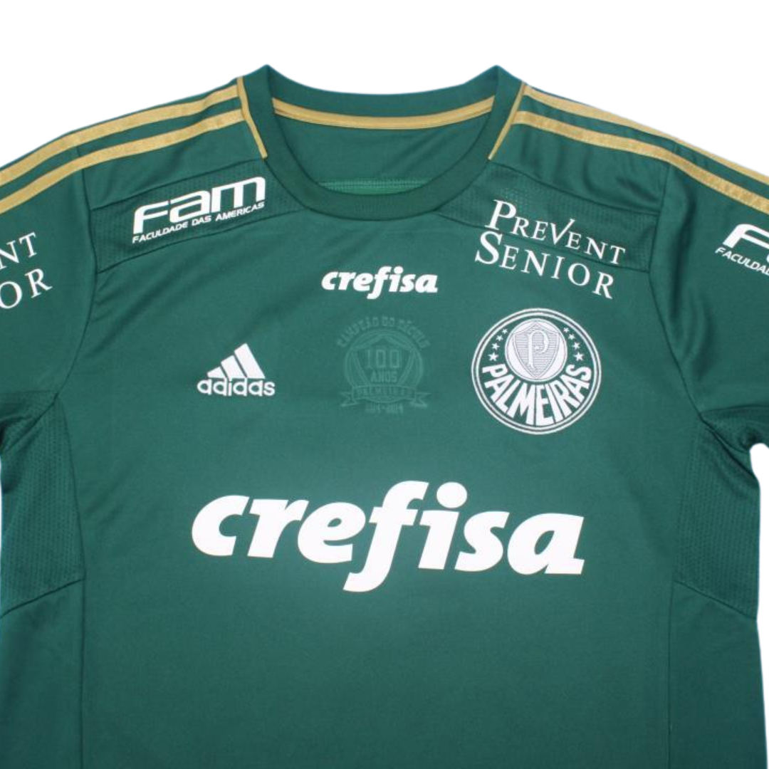 Camisa Palmeiras Home 2014 - Versão Retrô "Valdivia" Nº 10 - Imagem 5