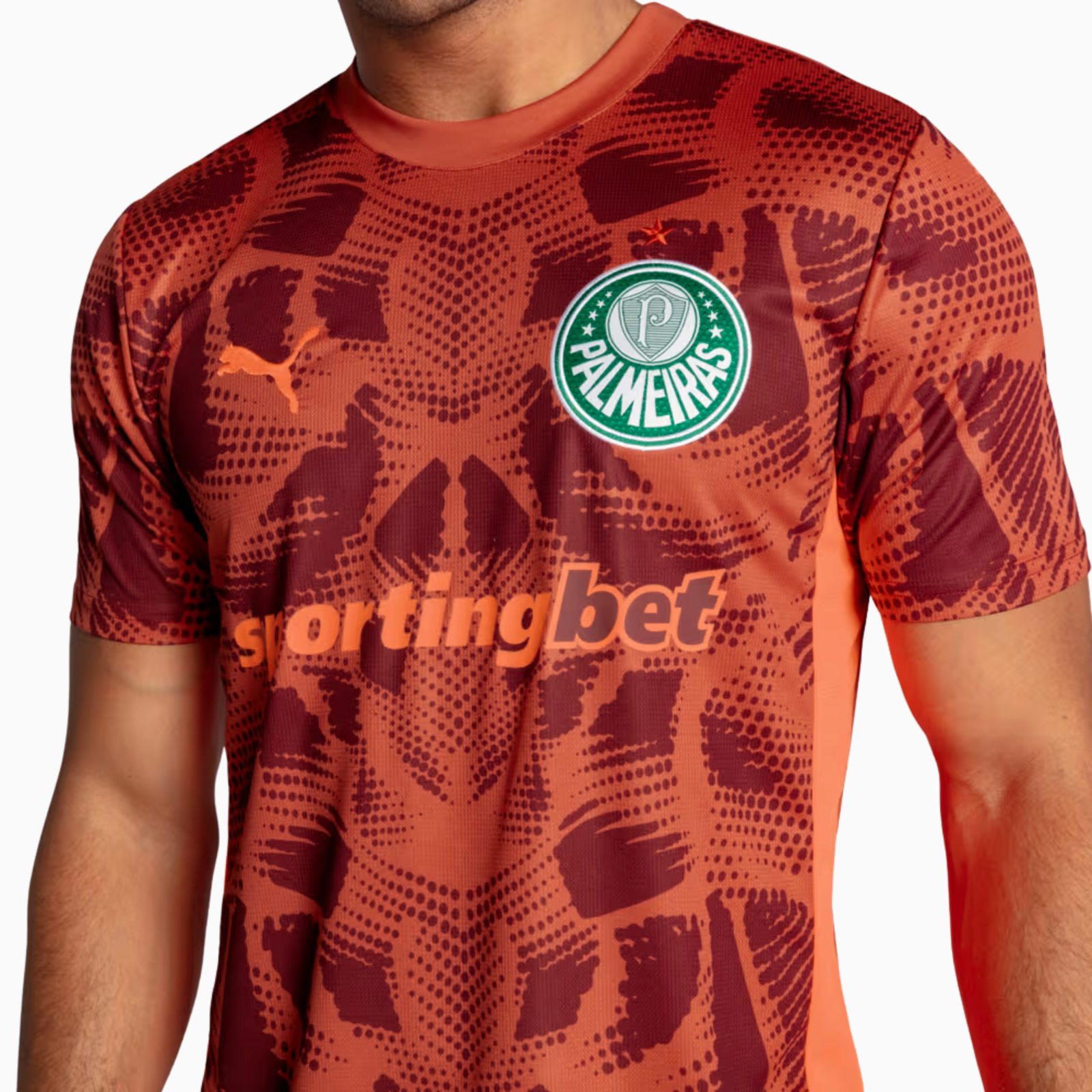 Camisa Goleiro Palmeiras 2025/26 II – Torcedor - Imagem 4