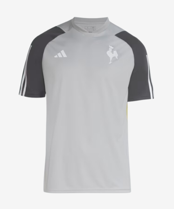 Camisa Atlético Mineiro Treino 2024