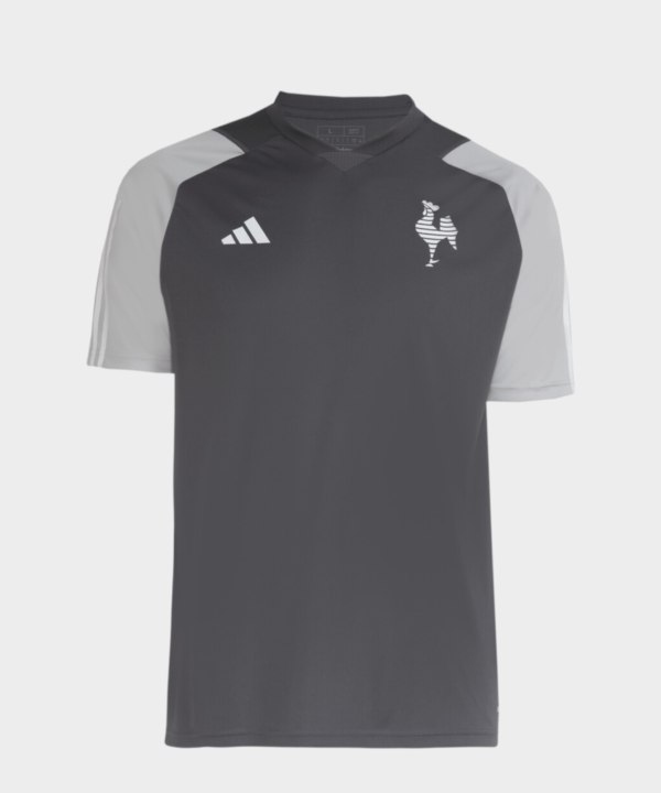 Camisa Atlético Mineiro Treino Comissão 24/25