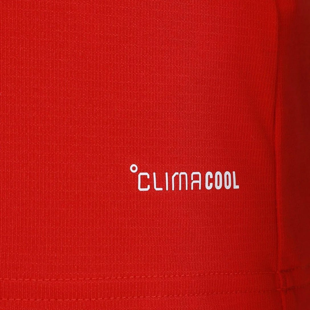 Camisa País de Gales 2025/26 Home - Imagem 5