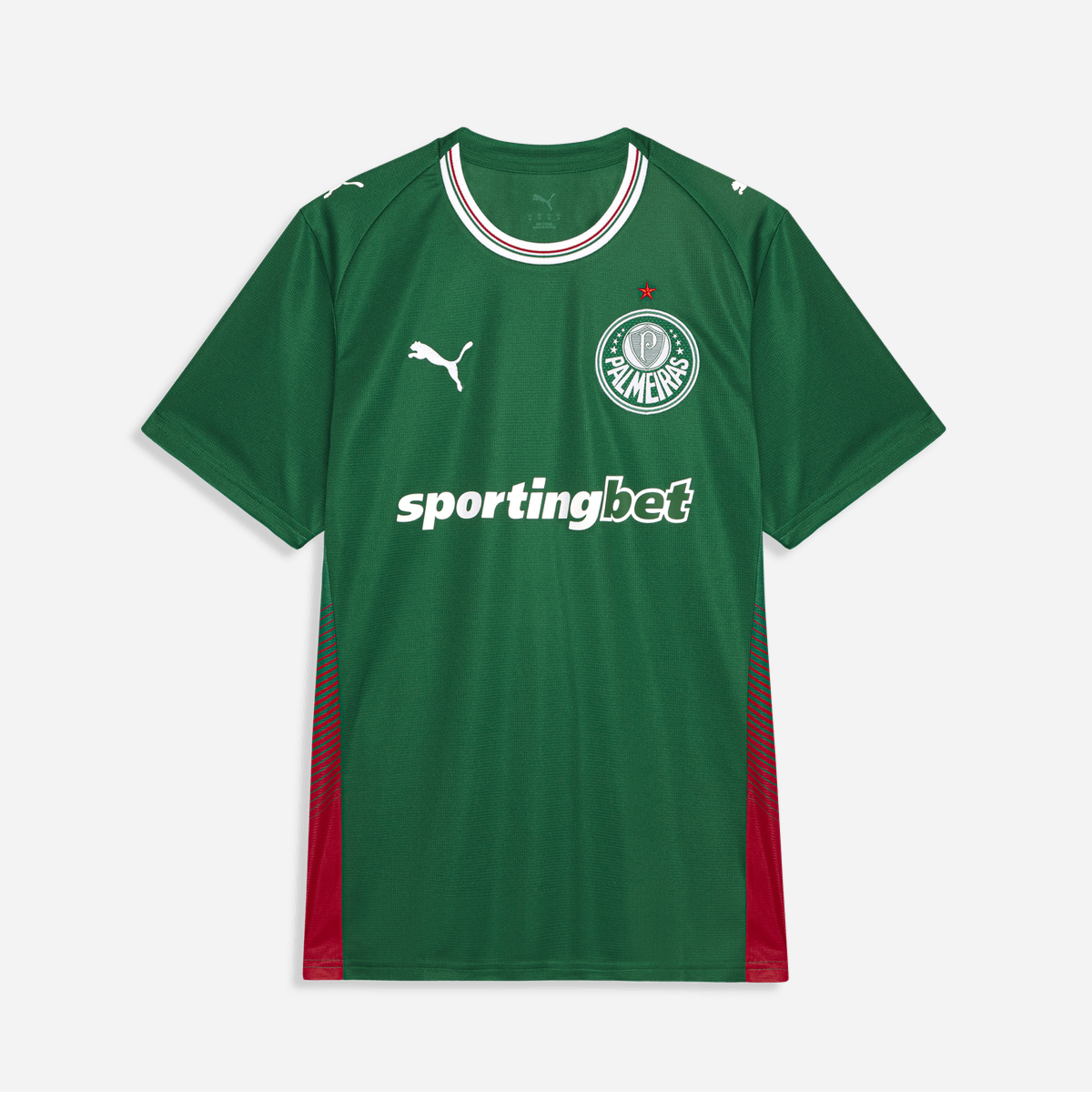 Camisa Palmeiras 2026/27 I Torcedor - Imagem 5