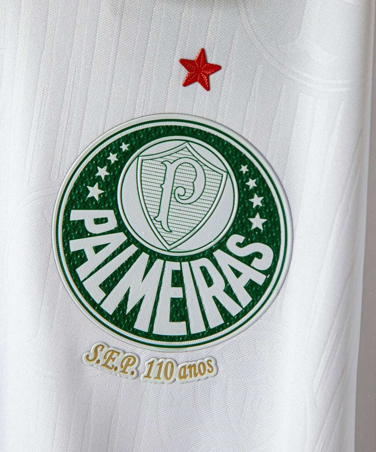 Camisa Palmeiras Away 24/25 Torcedor - Imagem 4